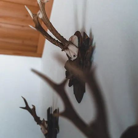 Jagdhaus Casa vacanze Bad Aussee